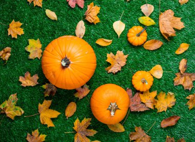 Turuncu kabak ve kuru akçaağaç yaprakları