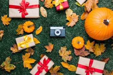 Retro kamera ve turuncu kabak 