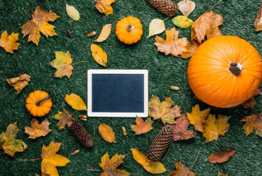 boş yazı tahtası ve turuncu kabak 