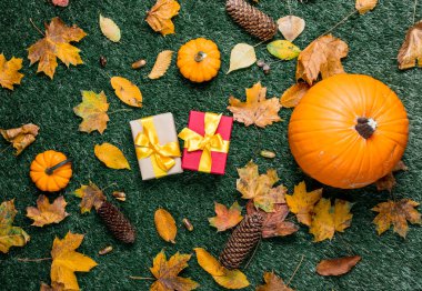 hediye kutuları ve turuncu kabak 