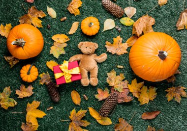 Oyuncak ayı ve hediye kutusu.