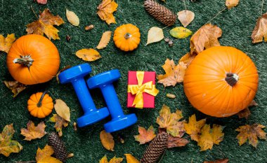 dambıl ve hediye kutusu