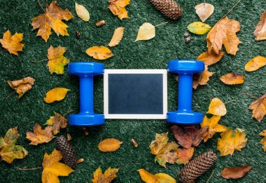 dambıl ve boş yazı tahtası