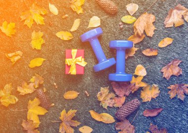 dambıl ve hediye kutusu