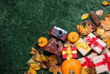 Retro kamera ve turuncu kabak 