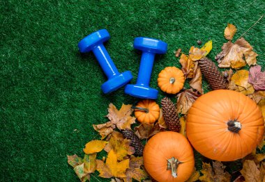 dambıl ve turuncu kabak 