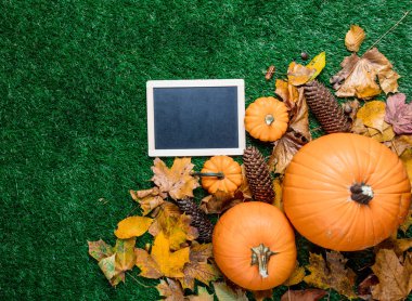 boş yazı tahtası ve turuncu kabak 