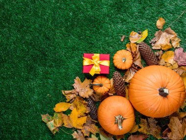 hediye kutusu ve turuncu kabak 