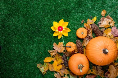 oyuncak yel değirmeni ve turuncu kabak 