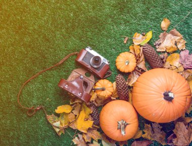 Retro kamera ve turuncu kabak 