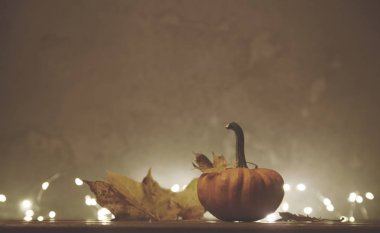 akçaağaç yaprakları ile küçük kabak