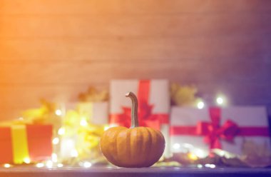 akçaağaç yaprakları ile küçük kabak