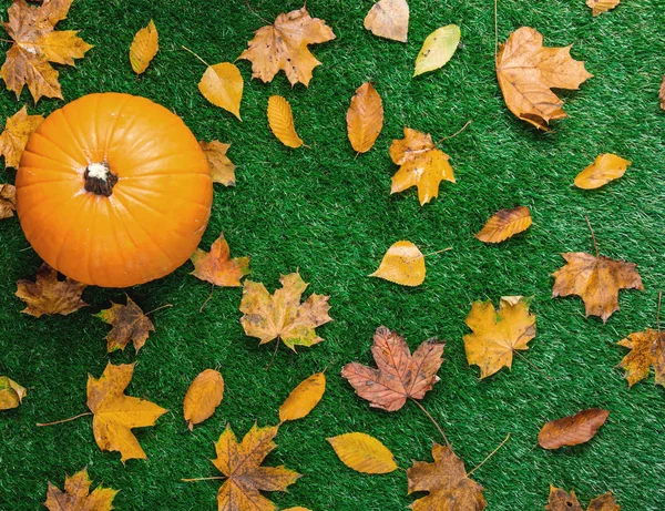 Turuncu kabak ve kuru akçaağaç yaprakları