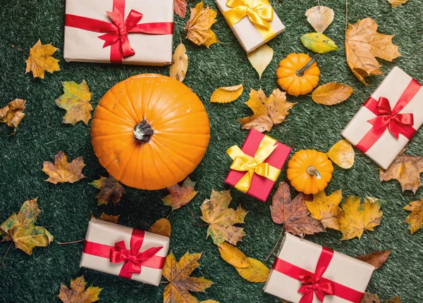 hediye kutuları ve turuncu kabak 