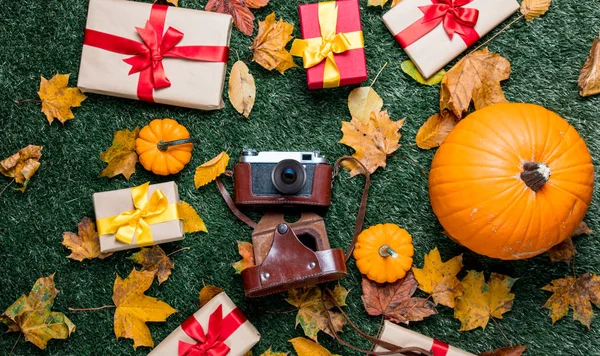 Retro camera and orange pumpkins — Stock Photo, Image