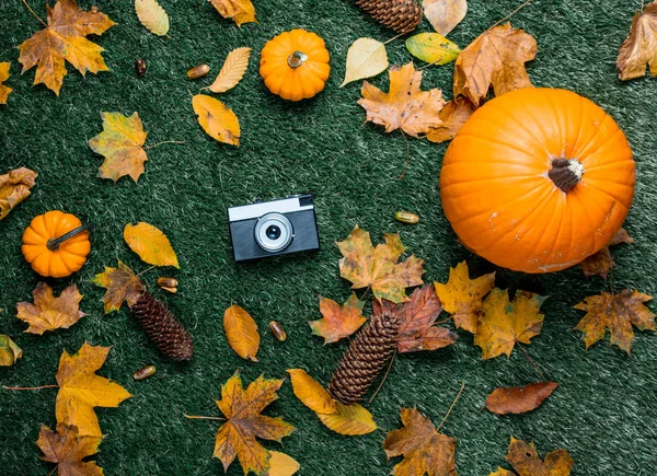 レトロなカメラとオレンジ色のカボチャ — ストック写真