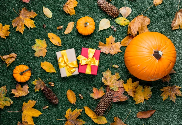 hediye kutuları ve turuncu kabak 