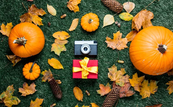 Retro camera and gift box — Stock Photo, Image