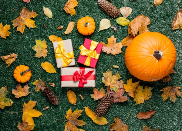 Gift boxes and orange pumpkins — Stock Photo, Image