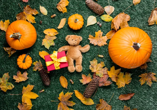 Oyuncak ayı ve hediye kutusu.