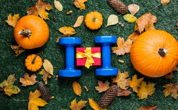 dambıl ve hediye kutusu