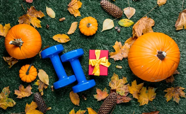 dambıl ve hediye kutusu