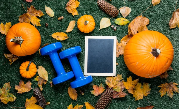 dambıl ve yeşil çim kara tahta 