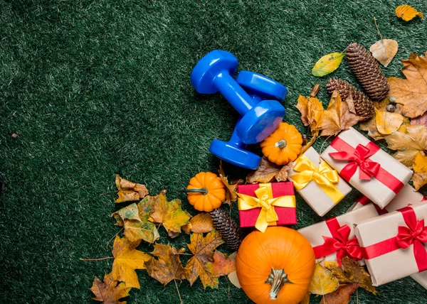 dambıl ve turuncu kabak 