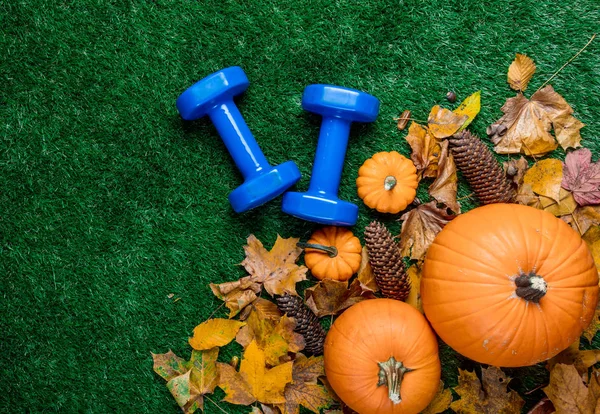 dambıl ve turuncu kabak 