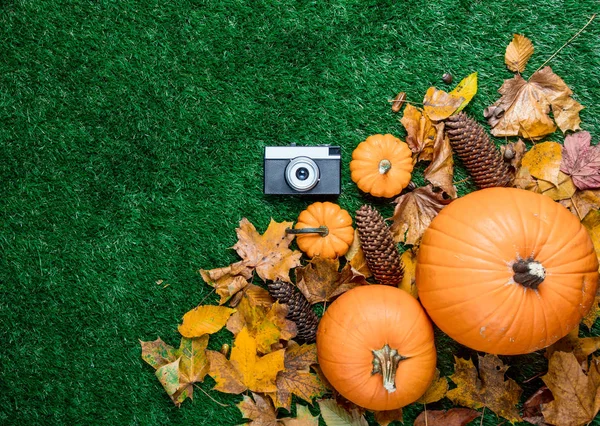 Retro kamera a oranžové dýně — Stock fotografie