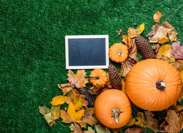 boş yazı tahtası ve turuncu kabak 