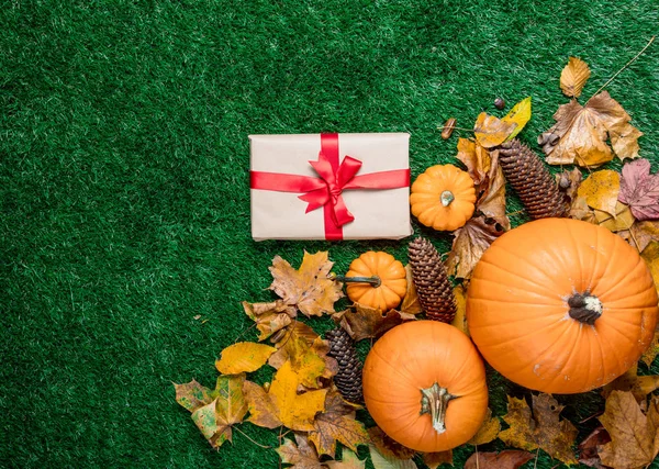 hediye kutusu ve turuncu kabak 