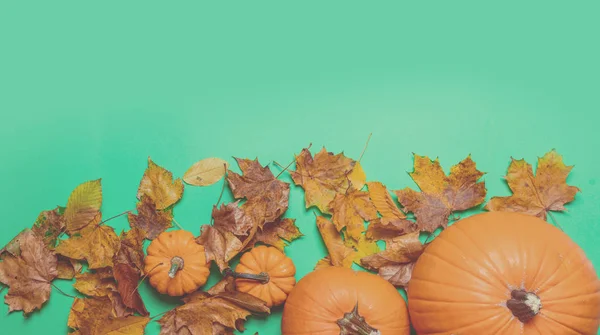 Oranje pompoenen en droge esdoorn bladeren — Stockfoto