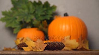 hediye kutusu ile kabak 