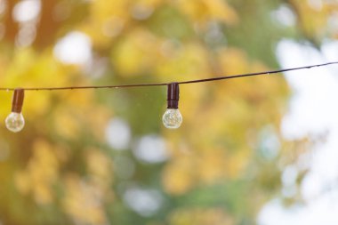 Elektrik lambası aydınlatma açık 