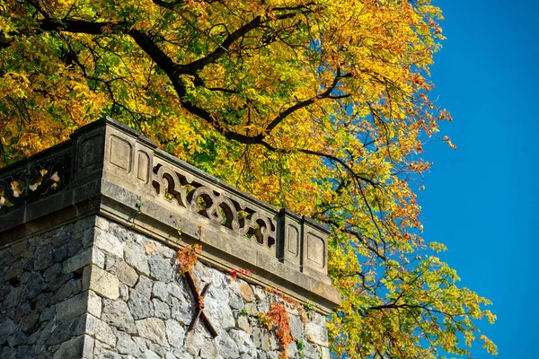 秋のツリーと城のバルコニー — ストック写真