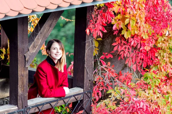 Mujer de pie cerca de un castillo dais — Foto de Stock