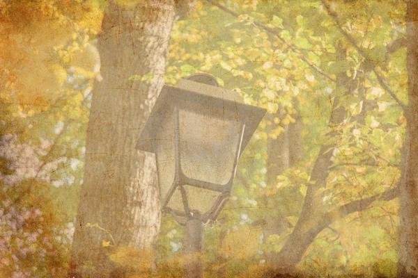 Lamp in herfst park — Stockfoto