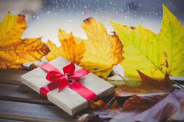 Hediye kutusu ve akçaağaç yaprakları 
