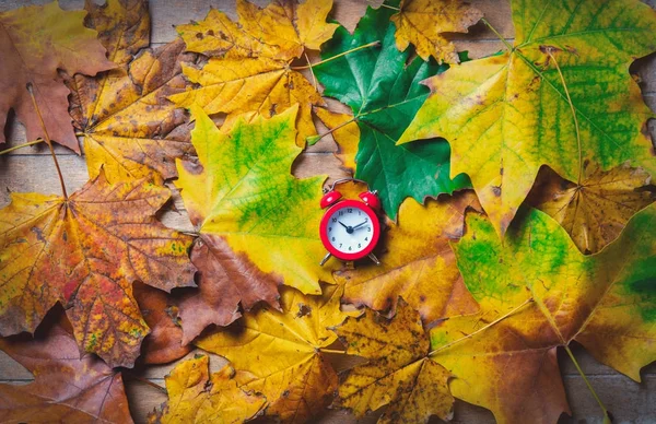 Vintage çalar saat ve akçaağaç yaprakları — Stok fotoğraf