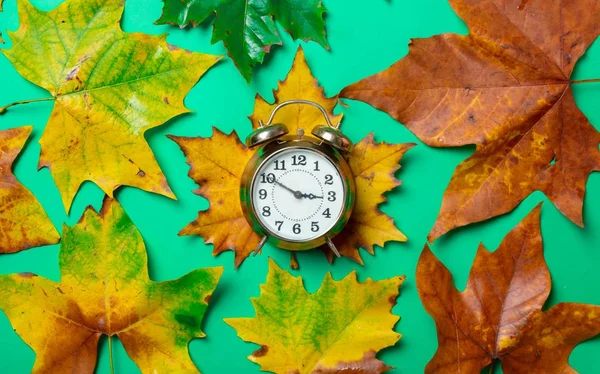 Vintage çalar saat ve akçaağaç yaprakları — Stok fotoğraf