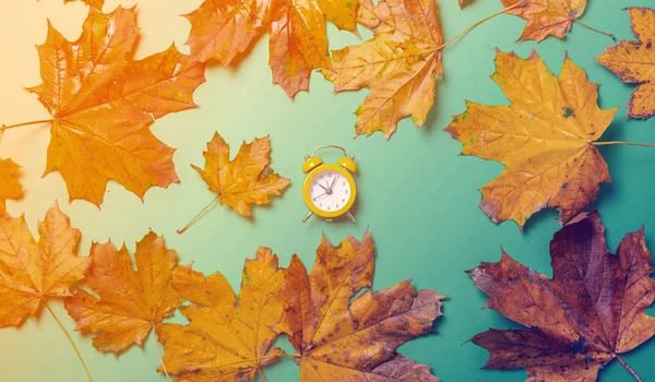 Vintage alarm clock and maple leaves — Stock Photo, Image
