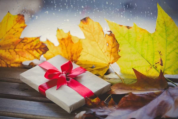 선물 상자와 단풍 잎 — 스톡 사진