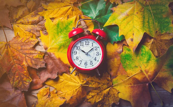 ビンテージの目覚まし時計とカエデの葉 — ストック写真