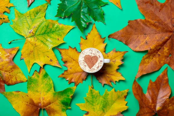 Maple leaves and cup of coffee — Stock Photo, Image