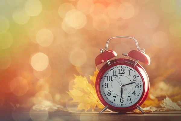 赤い目覚まし時計とカエデの葉 — ストック写真