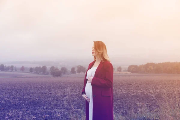 Mulher grávida em pé no campo — Fotografia de Stock