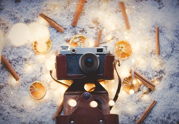 Vintage photo camera with cinnamon — Stock Photo, Image