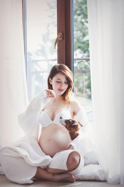 Young Pregnant Woman White Underwear Cute Dog Window Pregnant Woman — Stock Photo, Image