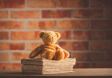 Peri masalı oyuncak ayı ve eski kitaplar 